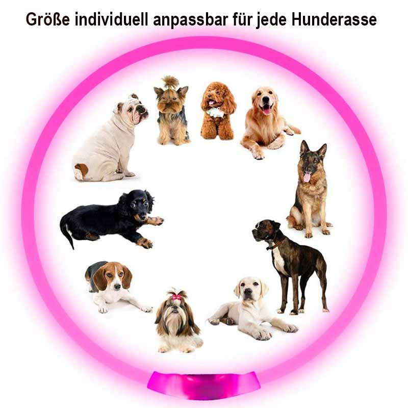 Leuchtendes LED-Hundehalsband