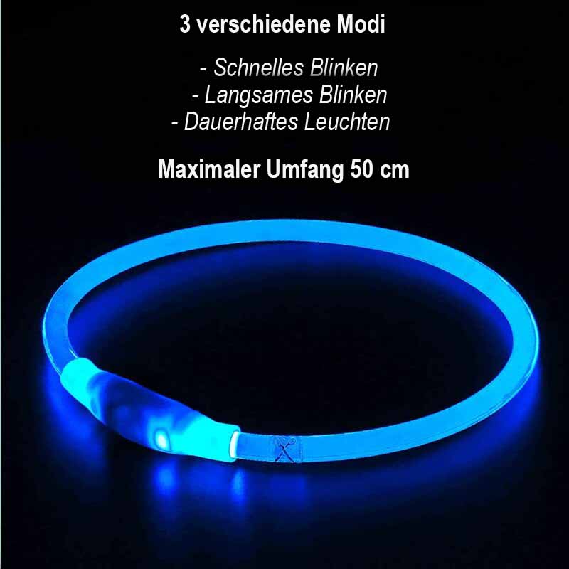 Leuchtendes LED-Hundehalsband