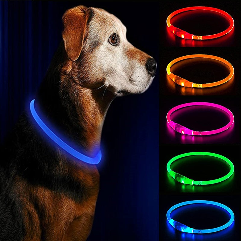 Leuchtendes LED-Hundehalsband