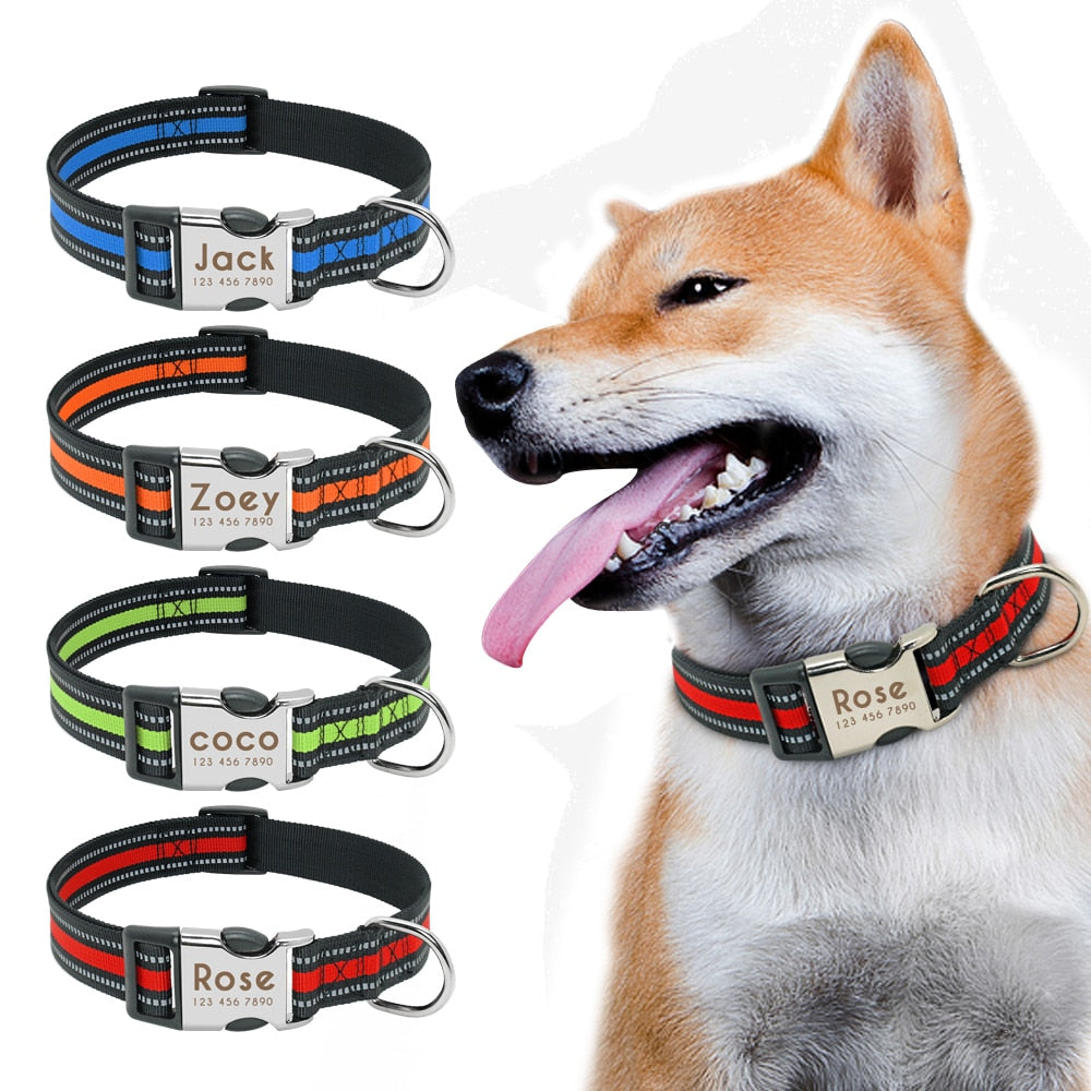 Personalisierbares Hundehalsband aus Nylon mit Reflektoren