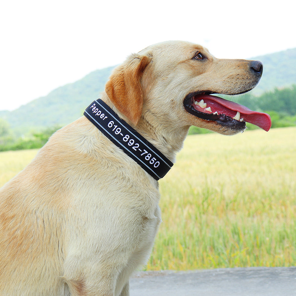 Personalisierbares, besticktes Premium Hundehalsband aus Nylon mit Reflektoren