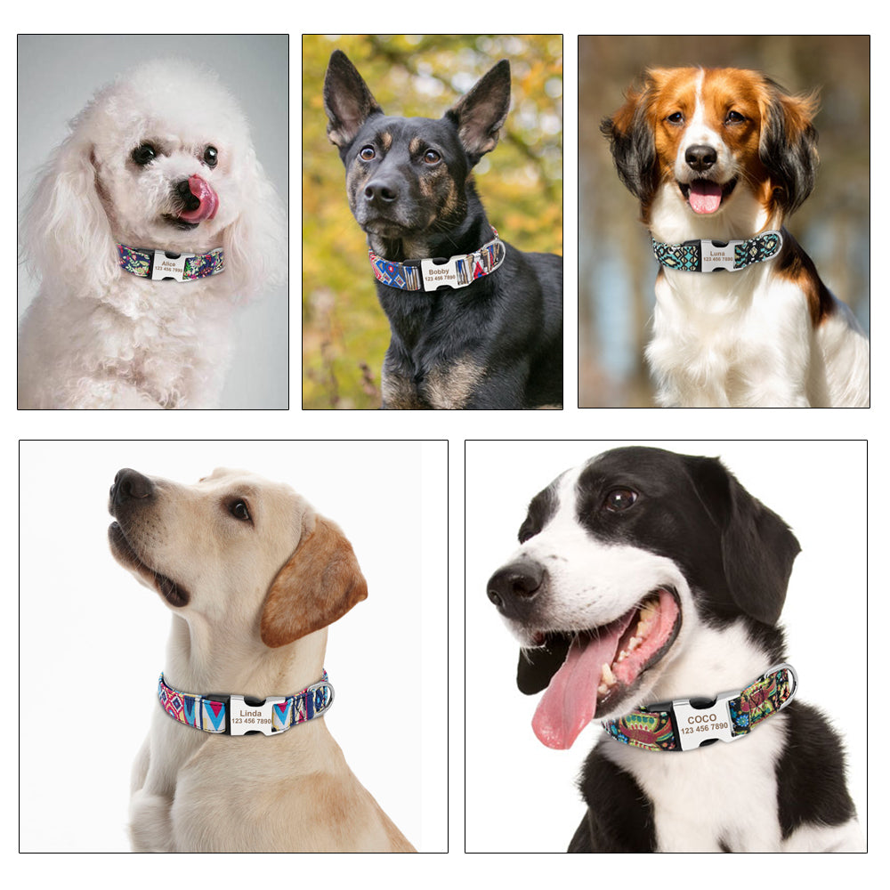 Personalisierbares Hundehalsband aus Nylon mit Lasergravur