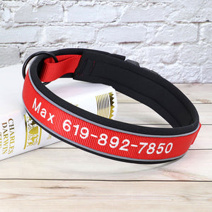 Personalisierbares, besticktes Premium Hundehalsband aus Nylon mit Reflektoren